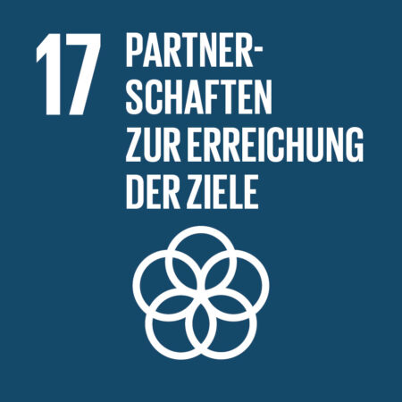SDG 17 "Partnerschaften zur Erreichung der Ziele"